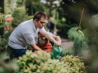 shutterstock 2599469485 326x245 - Wieviel Geld bekommt man bei 50% Behinderung