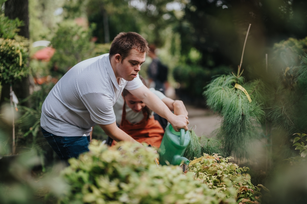 shutterstock 2599469485 - Wieviel Geld bekommt man bei 50% Behinderung